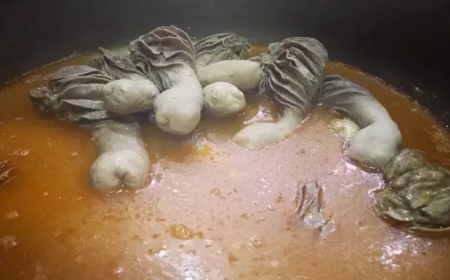 Adıyaman Gerger'de Ne Yenir? Ne Yenmeli? Nesi Meşhur?