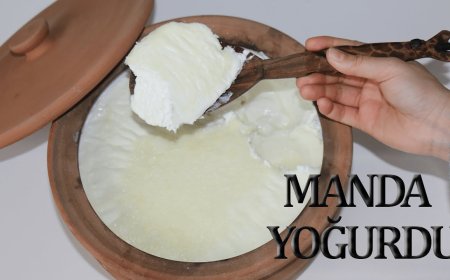 Afyonkarahisar Bolvadin'de Ne Yenir? Ne Yenmeli? Nesi Meşhur?