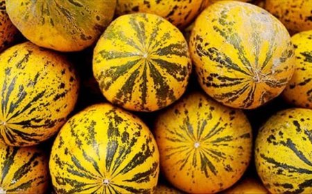 Manisa Kırkağaç'da  Ne Yenir? Ne Yemeli? Nesi Meşhur?