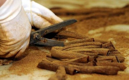 Manisa  Şehzadeler'de  Ne Yenir? Ne Yemeli? Nesi Meşhur?