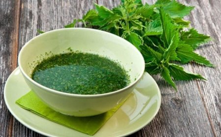 Ordu Gürgentepe'de  Ne Yenir? Ne Yemeli? Nesi Meşhur?