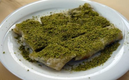 Tunceli  Çemişgezek'de  Ne Yenir? Ne Yemeli? Nesi Meşhur?