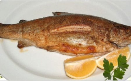 Van Başkale'de Ne Yenir? Ne Yemeli? Nesi Meşhur?